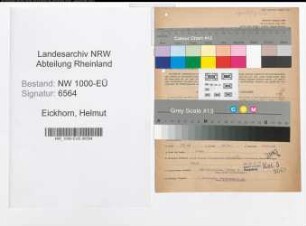 Entnazifizierung Helmut Eickhorn, geb. 01.07.1909 (Kaufmann)