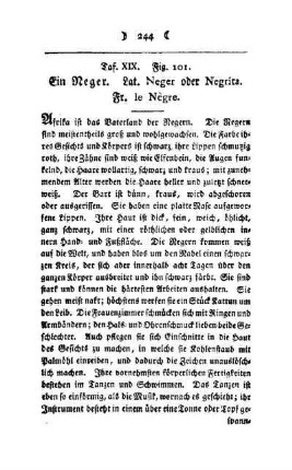 ¬Ein¬ Neger : Taf. XIX, Fig. 101