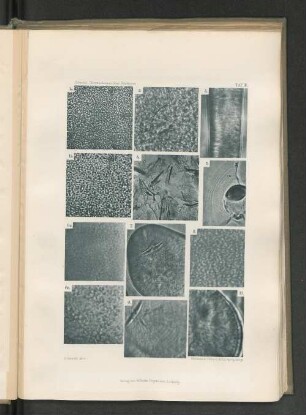 6b.