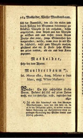 Maulbeerbaum - Preußelbeerstrauch.