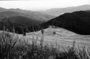 Vogesen: Campingplatz unterhalb des Grand Ballon