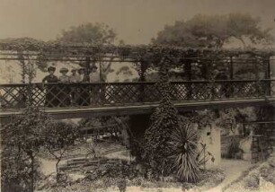 Gibraltar, Alameda-Gärten. Touristengruppe der Hapag auf einer Holzbrücke in den Gärten beim Betrachten der exotischen Pflanzenwelt