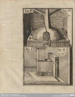 Fig. I. Cap. X. pag. 14.
