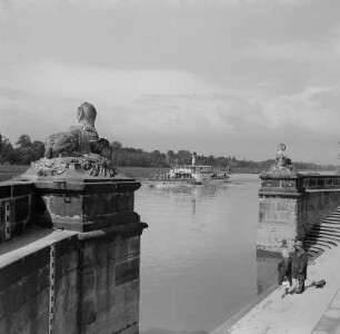 Dresden. Schloss Pillnitz, Große Freitreppe zur Elbe
