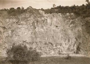Nordsächsisches Tiefland. Blauberg südlich Badersen. Östlicher Steinbruch
