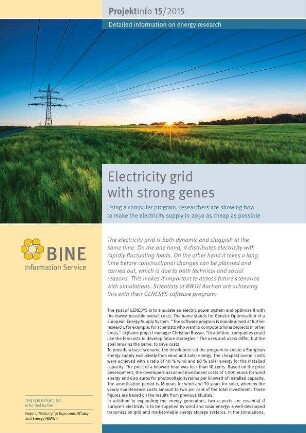 Electricity grid with strong genes. Using a computer program, researchers are showing how to make the electricity supply in 2050 as cheap as possible.