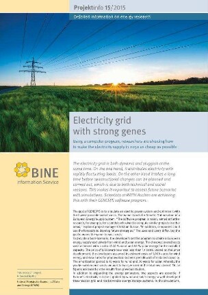 Electricity grid with strong genes. Using a computer program, researchers are showing how to make the electricity supply in 2050 as cheap as possible.