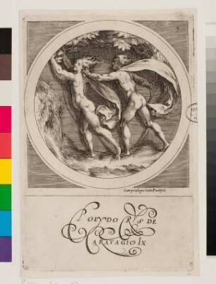 Apollo verfolgt Daphne