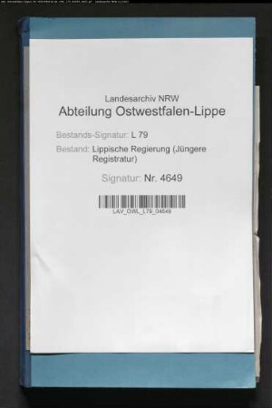 Auftreten der Influenza, Band 2