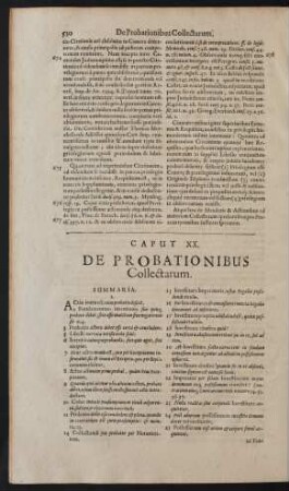 Caput XX. De Probationibus Collectarum.