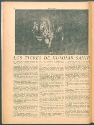 Los tigres de Kumhar Sahib