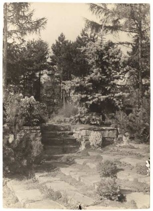 Garten Leo van den Bergh, Berlin-Kladow: Stufen zum waldigen Gartenteil