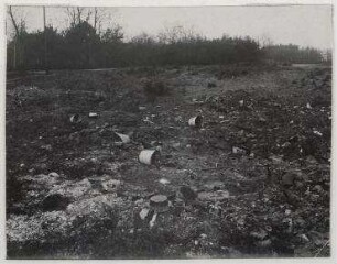 Ohne Titel (Vermüllte Landschaft am Westend)