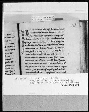 Bibliorum pars finalis, Pauli epistolae, Actus apostolorum, Epistolae canonicae, Apocalypsis — Initiale P(aulus), Folio 143recto