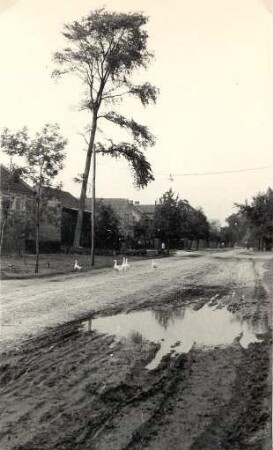 Dorfstraße in Werben : Wjesna dróha we Wjerbnje