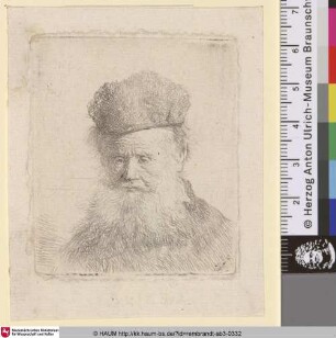 [Greis mit wallendem Bart; Old Man with a Flowing Beard: Bust; Vieillard à grande barbe]