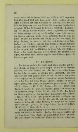 17. Die Palmen