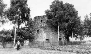 Bischofswerda-Belmsdorf. Holländermühle, Ruine