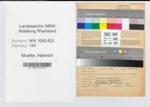 Entnazifizierung Heinrich Mueller, geb. 31.10.1881 (Landesamtmann)