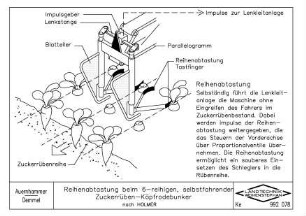 Reihenabtastung beim 6-reihigen, selbstfahrenden Zuckerrüben-Köpfrodebunker