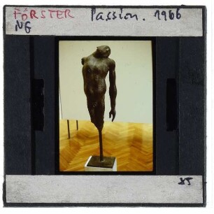 Förster, Passion