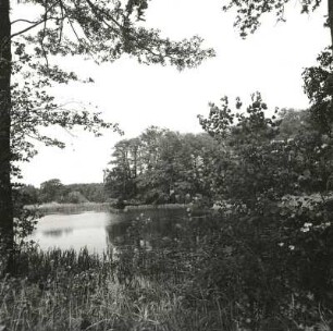 Niederlausitz. Teichgebiet bei Willmersdorf-Lakoma. Ansicht von Süden