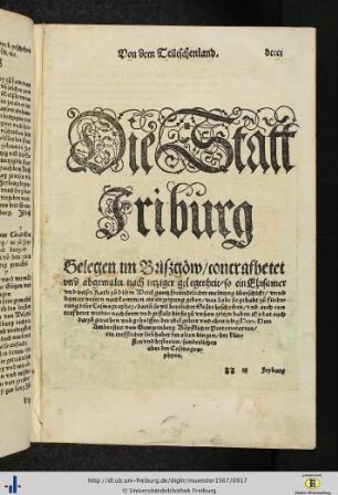 Die Statt Friburg.