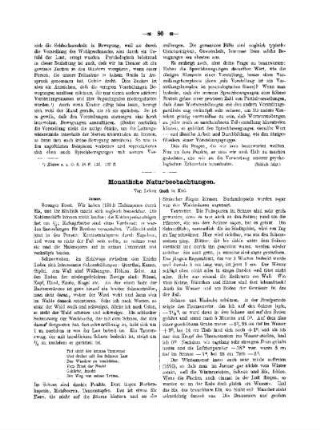 Monatliche Naturbeobachtungen