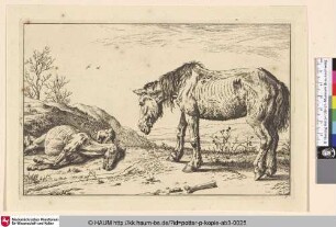 [Sterbendes und totes Pferd; The Worn-Out Horse (La Mazette)]