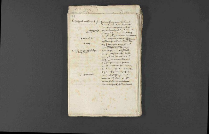 Militärische Werbungen und Kriegsrüstungen Pfalzgraf Wolfgangs zugunsten Louis I. de Bourbon, Fürst von Condé, und Verwarnung des Pfalzgrafen durch Kaiser Ferdinand I. und Landgraf Philipp von Hessen.