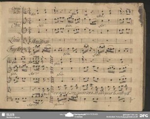 Cavatina: "Son sovrano e son guerriera"