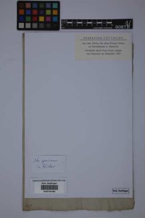 No specimen in folder