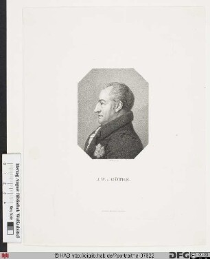 Bildnis Johann Wolfgang Goethe (1782 von)