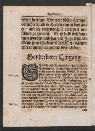 Sonderbarer Eingang.