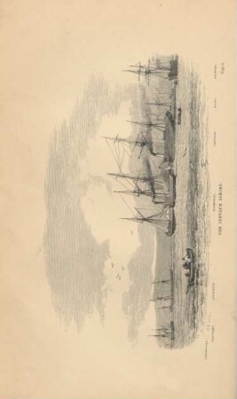 The Centaur Ashore