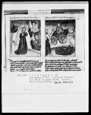 Zwei Schriften — Speculum humanae salvationis — Textseite mit zwei Miniaturen, Folio 84recto
