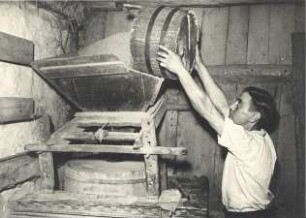 Graupenmühle in Tätschwitz : Nahrung - Mahlen und Stampfen von Korn. Ort: Ptačecy / Tätzschwitz. Graupenmühle.
