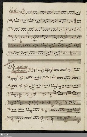 256. Coro Quartetto: Benvenuto il marchesino / Sarti, G.