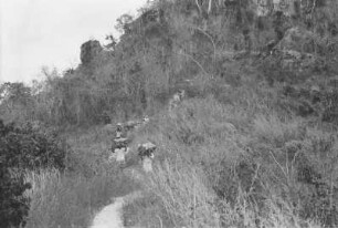 Träger beim Abstieg ins Namgarutal : Savannenlandschaft mit Expeditionsträgern