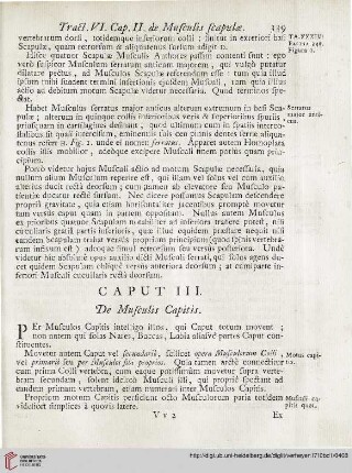 Caput III: De Musculis Capitis