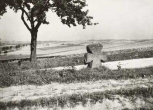 Steinkreuz (Tatzenkreuz) : Wünschendorf, Steinkreuz (Tatzenkreuz; D 221) an der Straßengabelung Eschdorf/Dittersbach