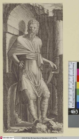 [Bartholomäus; S. Bartholomew]