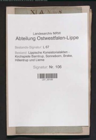Holz- und Mastrechte, Kirchengehölz