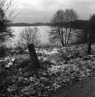 Hoisdorfer Teiche: Naturschutzgebiet: vorn Grünfläche mit Baumstümpfen und Büschen: am gegenüberliegenden Ufer Wald: Winter