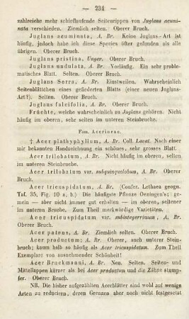 Neues Mittel zur Vertilgung des Hauschwamms