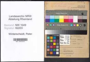 Entnazifizierung Peter Winterscheidt , geb. 17.12.1885 (Direktor)