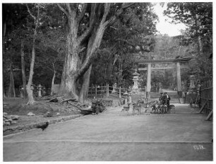 Zahme Rehe am Torii zum Kasuga-Schrein in Nara : Weltreisen. Heilige Rehe am Torii zum Kasuga-Taisha Schrein in Nara. Ansicht mit Einheimischen
