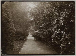 Ohlsdorfer Friedhof Hamburg