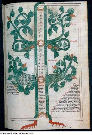 Illustration mit Text, Blatt 88r