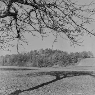 Schanze Kuckau : Blick auf die Kuckauer Schanze